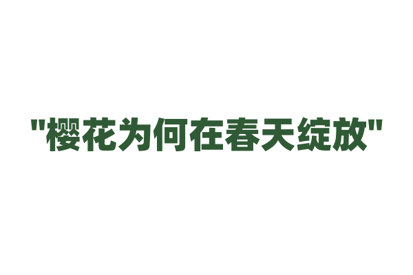 "樱花为何在春天绽放"